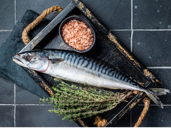 Norwegian Mackerel